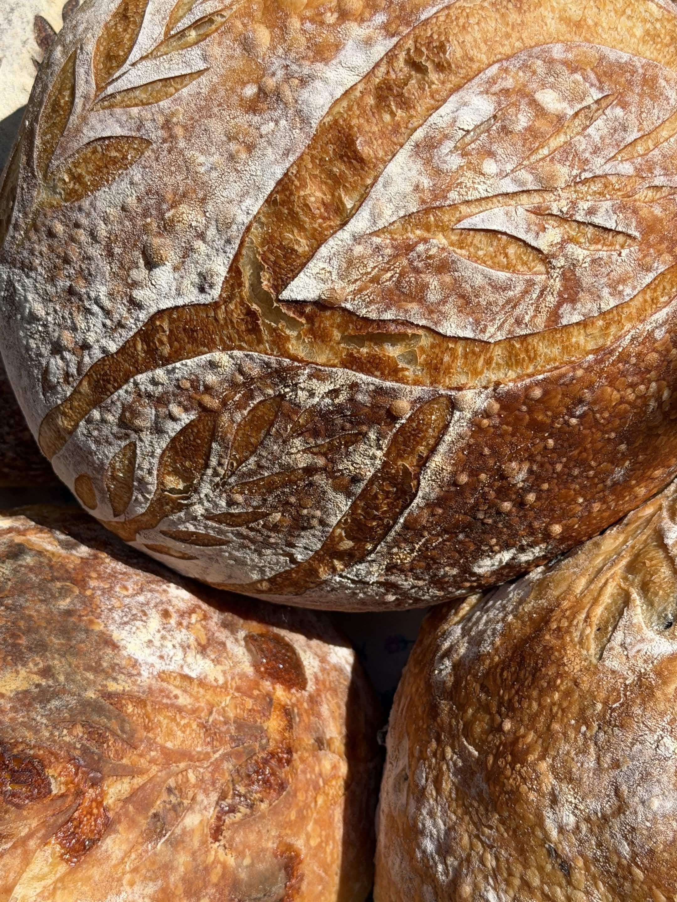Sourdough Near Wildomar, CA bread photo 2