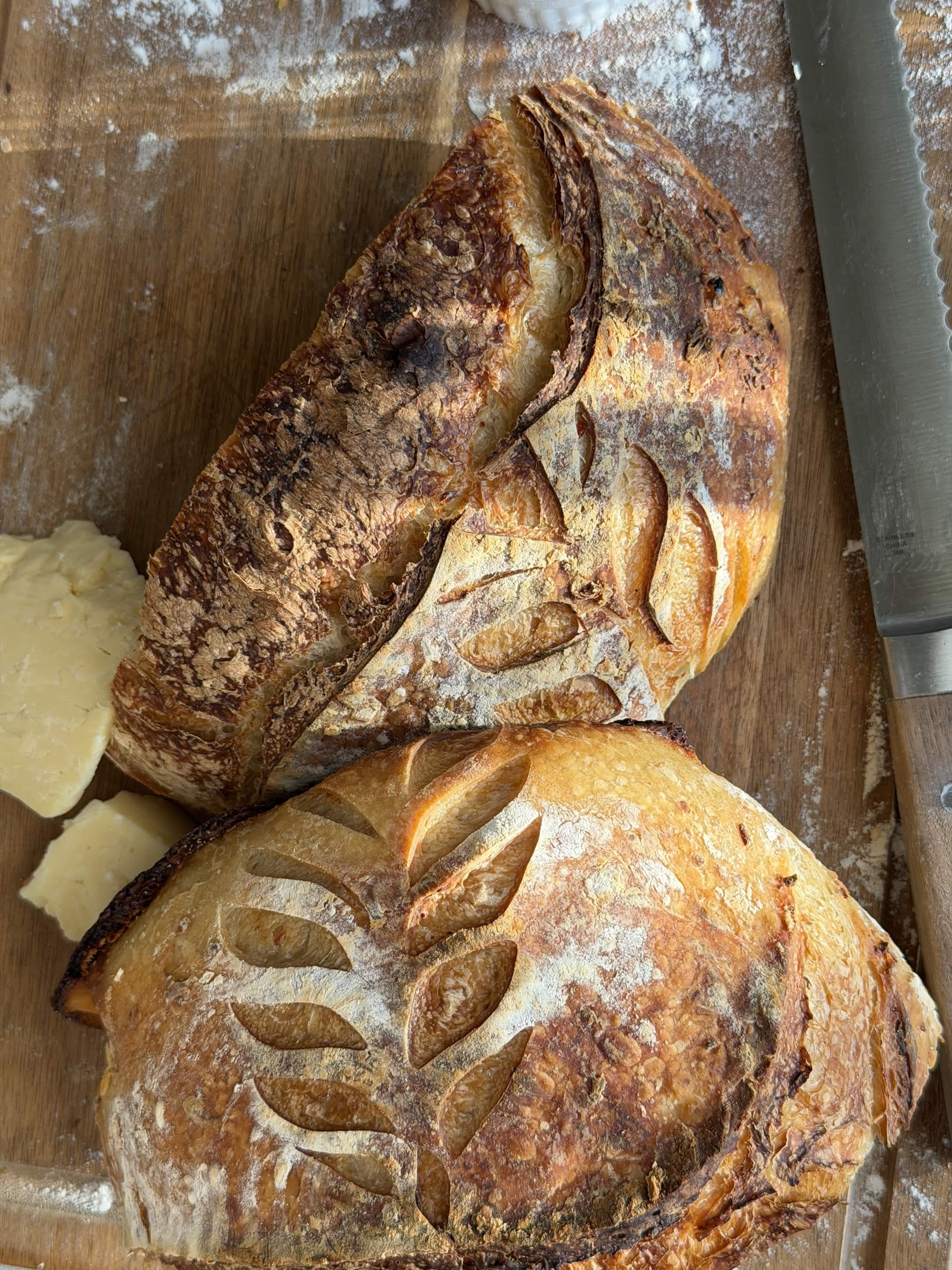 Sourdough Near Murrieta, CA — Anina's Home Kitchen