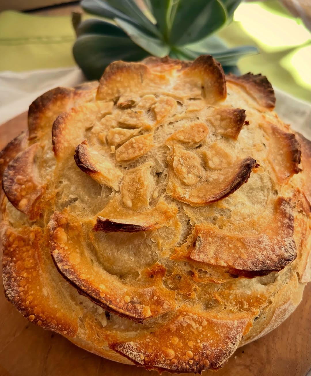 Sourdough by Anina's Home Kitchen